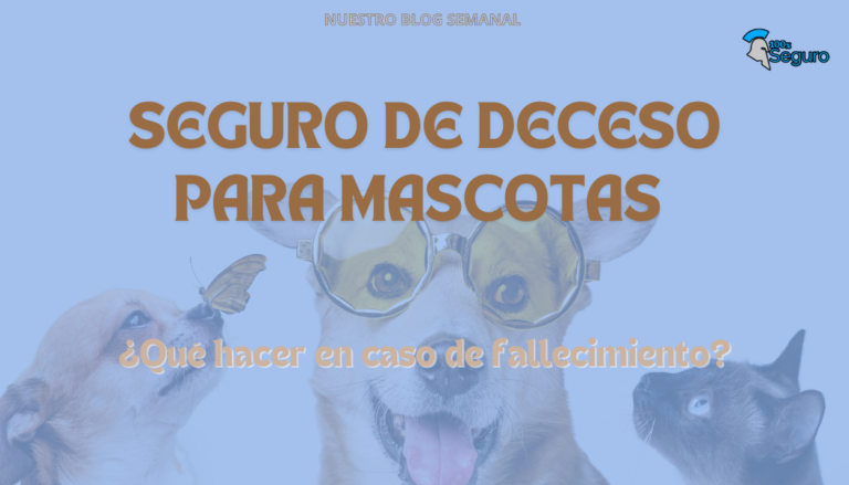 ¿Es obligatorio contratar un seguro de deceso para mascotas? – Reglamento y sanciones